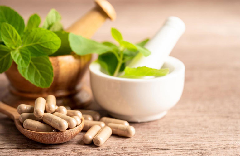 Supplement